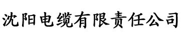 穿越之三夫侍身玛索电缆厂logo